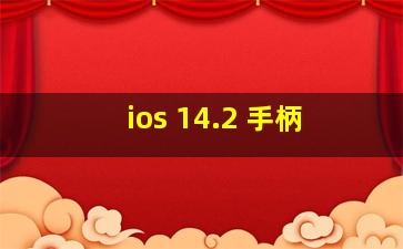 ios 14.2 手柄